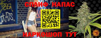 СК Новозыбков