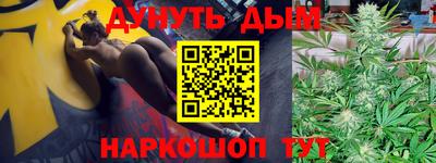 СК Новозыбков
