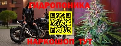 гидропоника Новодвинск