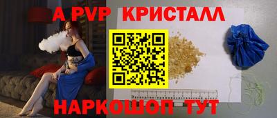 СК Новозыбков